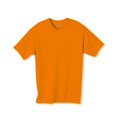 thumbnail image 1 of Hanes Men's 6.1 oz. Tagless T-Shirt - 5250T, 1 of 1