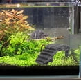 thumbnail image 2 of KAKOWELY 1pc Turtle Basking Platform Resin Climbing Platform Tortoise Resting Platform,7.87"X5.51"X3.15", 2 of 4