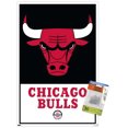 thumbnail image 1 of NBA Chicago Bulls - Logo 21 Wall Poster, 22.375" x 34" Framed, 1 of 4