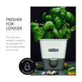 thumbnail image 4 of Cole & Mason Arrosoir Auto-Arrosant pour Fines Herbes en Pot, 4 of 7