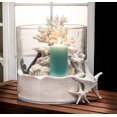 thumbnail image 2 of Abbott Collection Étoile de Mer 3D Moyenne - Résine, Blanc (7,5 Po L), 2 of 2