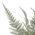 thumbnail image 4 of Bouclair fougère artificielle en pot, 4 of 4
