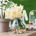 thumbnail image 4 of Small Green Stones Polished River Rocks Stepping Stones for Kids Craft Decorative Stones for Vases Clear Stepping Stones Outdoor Kids Stepping Stones for Kids Garden Decorative Stones for Vases Amber, 4 of 4