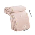 thumbnail image 3 of CUITING Lightweight Summer Quilt Queen Size Quilted Washed Cotton Conditioner Napping Quilt For Kids Adult Skin-Friendly, 3 of 5