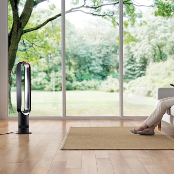 Dyson AM07 Tower Fan, Black - Walmart.ca