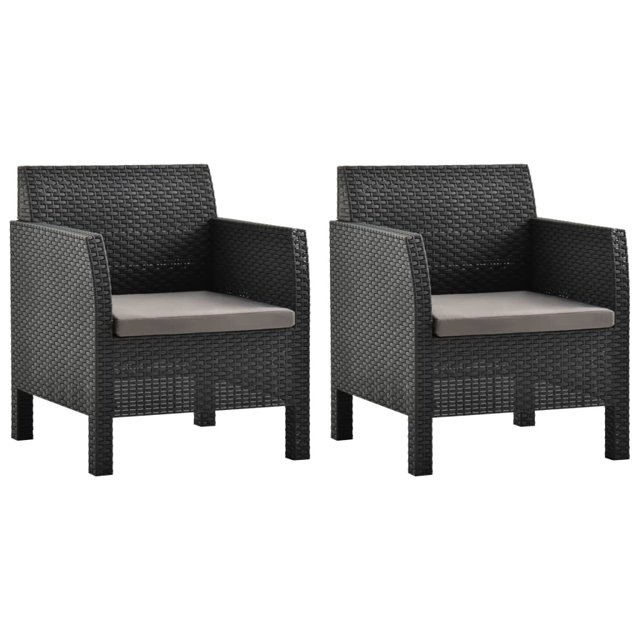 vidaXL Chaises de Jardin avec Coussins 2 Pièces en Rotin Anthracite