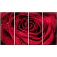 thumbnail image 3 of Design Art Red Rose Petals with Rain Droplets Floral Canvas Art Print, 3 of 3
