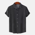 thumbnail image 2 of RKSTN Chemise pour Homme Plage Hawaïenne Décontractée Chemise à Pois Col Rabattu Blouse à Manches Courtes Hauts, 2 of 9