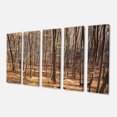 thumbnail image 2 of Thick Carpathian Deciduous Forest - Forest Canvas Art Print, 2 of 3