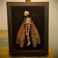 thumbnail image 4 of Cursed Items Dead Shadow Box Display Handmade Creepy Mummified Corpse Art Ornament, 4 of 9