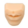 thumbnail image 3 of Modèle de Bouche de Simulation, Format Portable Réutilisable en Silicone Souple Modèle de Bouche Humaine pour l'Enseignement de l'Acupuncture, 3 of 8