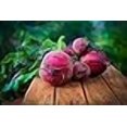 thumbnail image 3 of Detroit Dark Red Beet Seeds, 3 of 3
