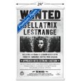 thumbnail image 2 of Le monde des sorciers: Harry Potter - Bellatrix Wanted Poster, 2 of 4