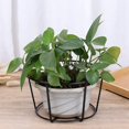 thumbnail image 4 of 4Pcs Hanging Railing Planters Flower Pot Holders Plant Iron Racks Fence Metal Potted Stand Mounted Balcony Baskets Small, 4 of 8