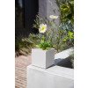 thumbnail image 4 of Veadek Geo Series Jardinière Cube 5 Pouces - Lot de 2 Blanc, 4 of 7
