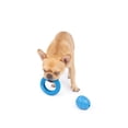 thumbnail image 2 of One Paw, 2 pack Rubber Chew Dog Toy, Medium, Treat Dispenser, 2 of 4