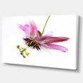 thumbnail image 2 of Fleur de Passiflore sur Fond Blanc - Grande Impression Artistique sur Toile d'Animal, 2 of 4