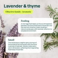 thumbnail image 4 of ATTITUDE home+ technology All Purpose Cleaner Disinfectant 99.99%, Thyme & Citrus, 800 mL, 4 of 4