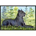thumbnail image 1 of Carolines Treasures SS8682JMAT Paillasson Cane Corso 24 x 36 Po., 1 of 4