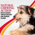 thumbnail image 4 of Good'N'Fit Highly Digestible Dental Rawhide Rolls, Small, 10 Count, 150 Grams, For All Dogs, 4 of 6