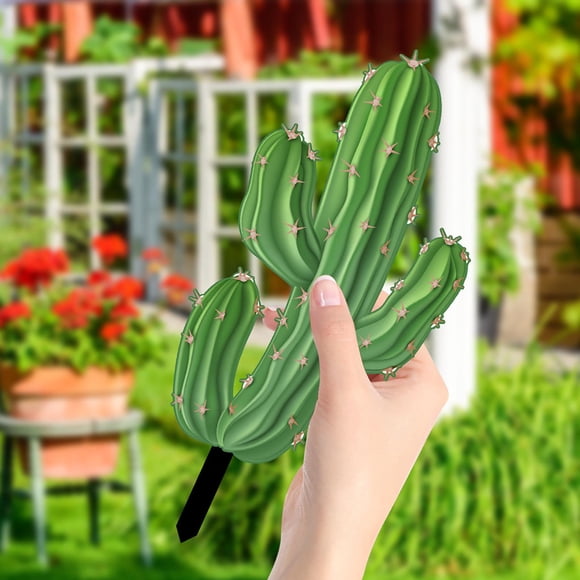 RKSTN Courtyard planting Cactus Green Plants Courtyard Garden Outdoor Decoration Plugin