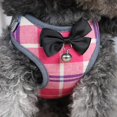 thumbnail image 4 of Dog Harness for Cats for Hiking Soft Air Mesh Vest for Small Dogs Cats (Gray,S), 4 of 7