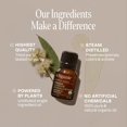 thumbnail image 2 of Cliganic Organic Lemon Eucalyptus Essential Oil, 10ml, 2 of 2