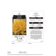 thumbnail image 2 of Forsythia, pot de 7,5 L (2 gal), arbuste, 2 of 6