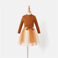 thumbnail image 3 of PatPat Family Matching Outfits Long Sleeve Mesh Dresses and Color-Block Sweater Sets, 3 of 6