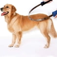 thumbnail image 4 of Dog Hair Brush Pet Hair Removal Brush Handle Non Pet Comb Pet Hair Brush, 4 of 7
