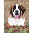 thumbnail image 1 of Carolines Treasures SC9041CHF Saint Bernard Flag Canvas - House Size, 1 of 4