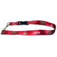 thumbnail image 1 of Arizona Diamondbacks Lanyard Breakaway with Key Ring Style Special Order, 1 of 1