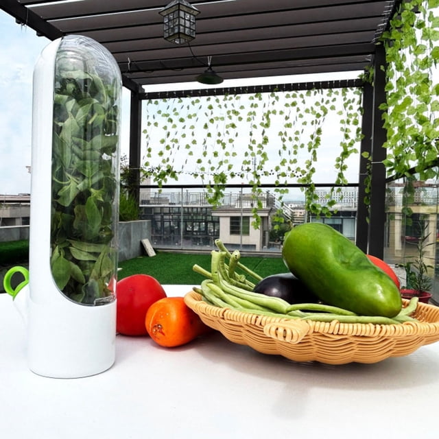 Closet-Grade Fresh Pod Containers for Refrigerator Storage Ideal for Cilantro Parsley and Asparagus Keeps Vegetables Fresh