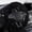 Black, variant on TIMIFIS Steering Wheel Covers Car Steering Wheel Cover with Soft Warm Non-Slip Car Decoration Car Wheel Protector Universal Fits 14-15 Inches Car Accessories