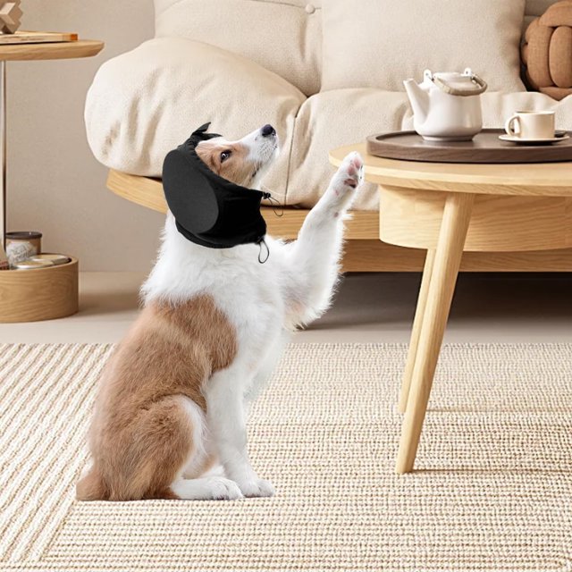 Popular Picks,Dog Earmuffs, Pet Noise Protection Covers, Adjustable Dog Ear Muffs for Sound Blockage, Noise Reduction Ear Covers for Dogs, | Cloth, D-251 $BS$3