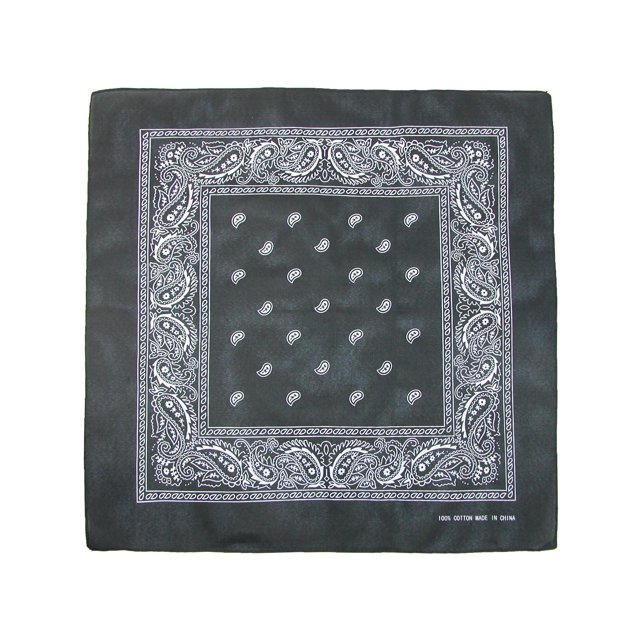 CTM® Individually Folded & Packaged Paisley Print Cotton Bandana