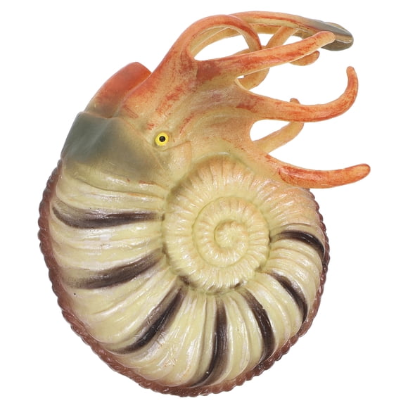 Weiweiguan Sea Animals Model Nautilus Model Marine Animals Model Sea Life Ornament