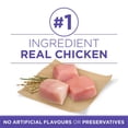 thumbnail image 4 of Purina ONE SmartBlend Healthy Aging 7+ Formula Chicken, Dry Dog Food 11.7kg, 4 of 9