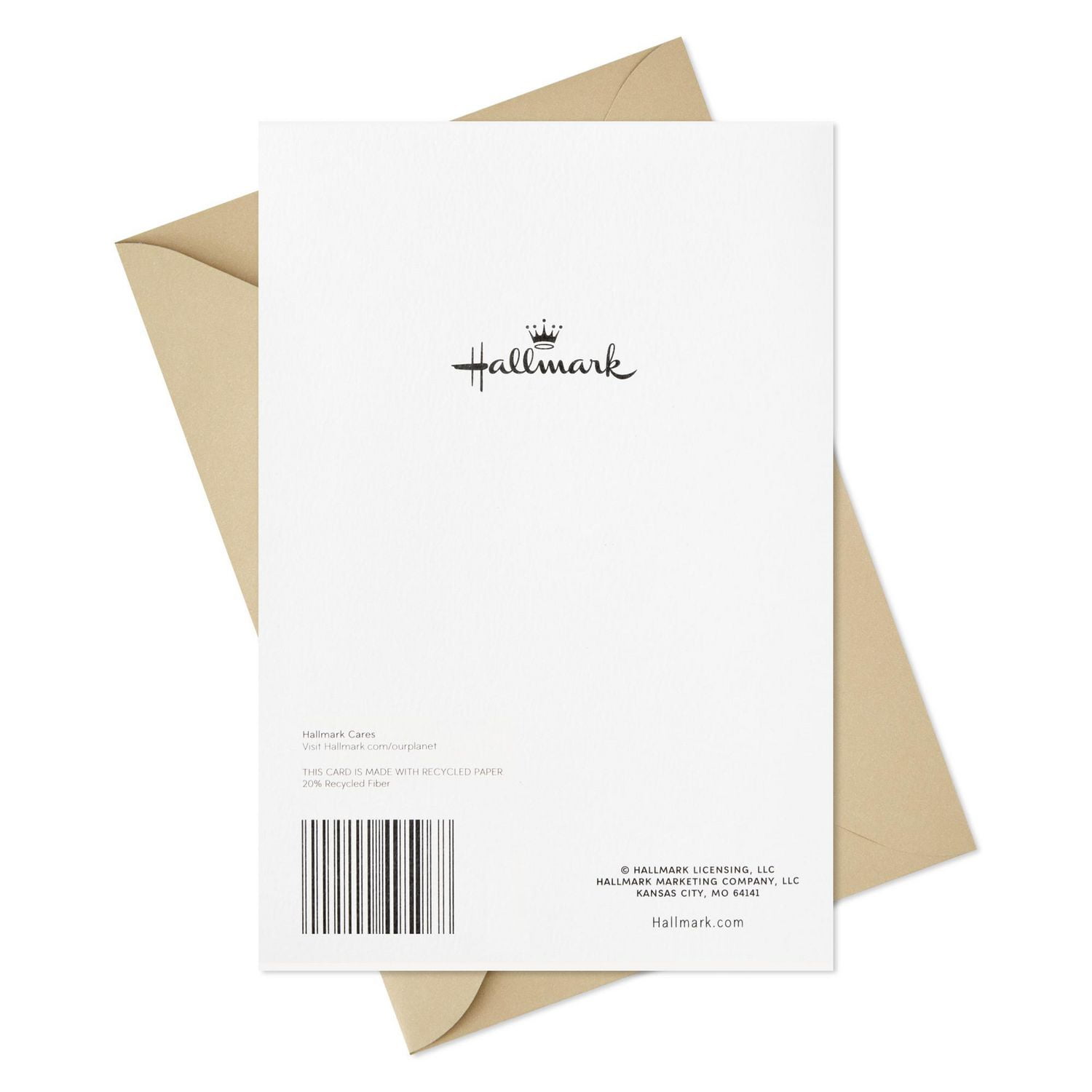 Paquet de 2 cartes Hallmark de condoléances (Paysage marin et oiseaux)
