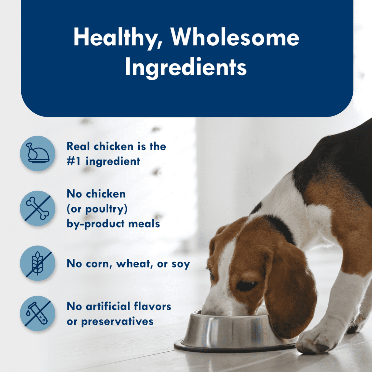 Blue Buffalo Delights Saveur de poulet grillé, Pâté pour chiens en barquette, 99 g (3,5 oz)