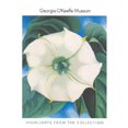 thumbnail image 1 of Georgia O'Keeffe Museum, les Temps Forts de la Collection, 1 of 1