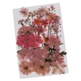 thumbnail image 1 of simhoa Mixed Multiple Real Dried Pressed Flowers Colorful Leaves Flower Petals for DIY Pink, 1 of 8