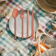 thumbnail image 4 of TIMIFIS Camping Tableware Wheats Straw Knife, Fork and Spoon Three-Piece Set, Camping Out Convenient Tableware Set, Children's Tableware Gifts Camping & Hiking, 4 of 5