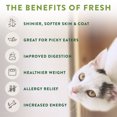 thumbnail image 4 of Nourriture plates grillés Select de Freshpet Recette de poulet tendre pour chats, 4 of 7