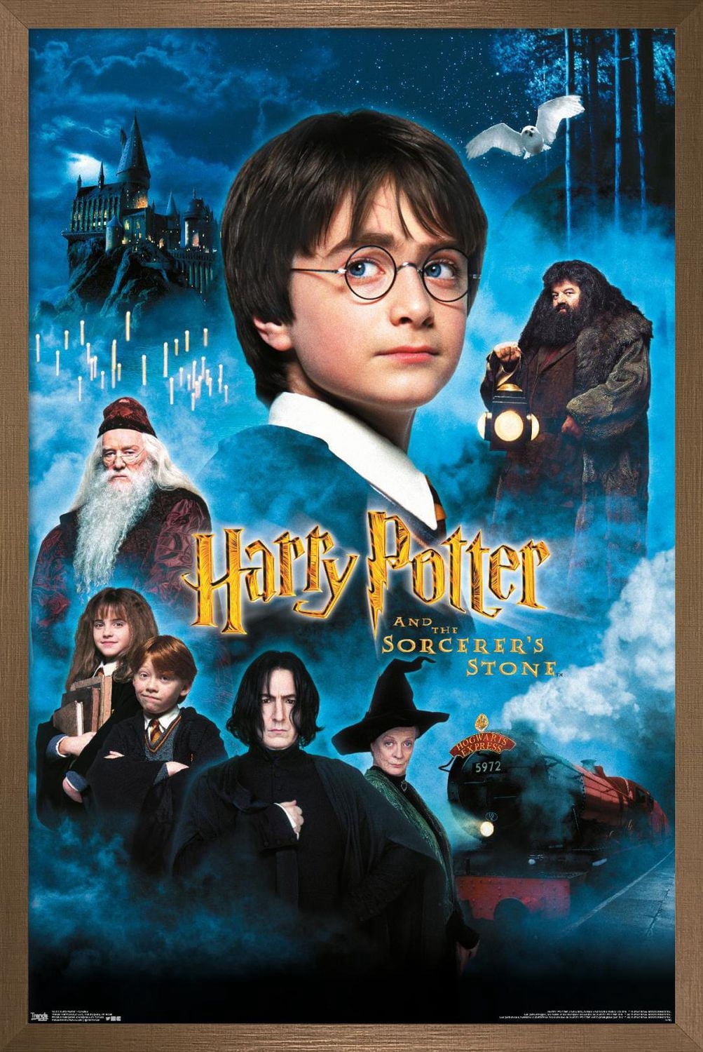 Harry Potter à l'école des sorciers - Bougies One Sheet
