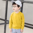 thumbnail image 1 of LSLJS Toddler Baby Boy Girl Fleece Pullover Sweatshirt Solid Color Crewneck Blouse Shirt Tops Warm Fall Winter Clothes, 1 of 4