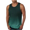 thumbnail image 1 of IROINID Débardeurs D\'entraînement Physique Sans Manches pour Hommes, Mode Décontractée Impression Dégradée Sans Manches Col Rond, 1 of 4