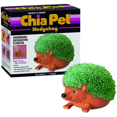 Hedgehog Jardinière Décorative pour Animaux Chia