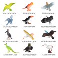 thumbnail image 1 of 12 Pcs Figurines d'Animaux Réalistes Figurines pour Collection Jouets Figurines Enfants Fête Fournitures de Fête Oiseau, 1 of 9