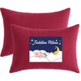 thumbnail image 1 of Tiny Pillows &#xMicrofiber Mini Pillows for Travel Pets Soft Machine Washable Small Pillows for Neck Wrist Lumbar and Knee, 1 of 9